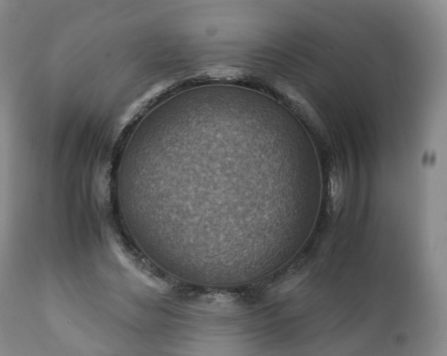 X0000110930492200906251337