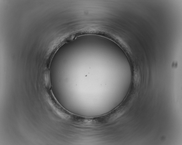 X0000110930493200906251337