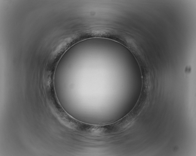 X0000110930495200906251337
