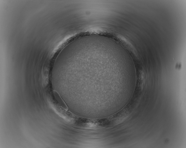 X0000110930496200906251337