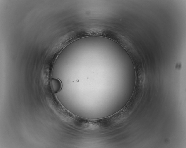 X0000110930498200906251337