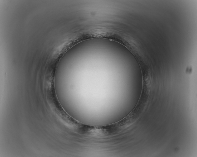 X0000110930499200906251337