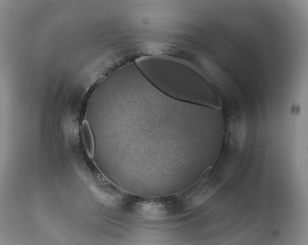 X0000110930500200906251337