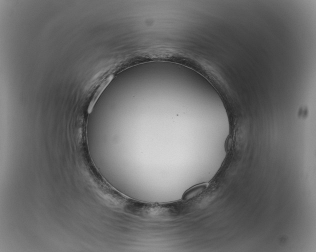 X0000110930501200906251337