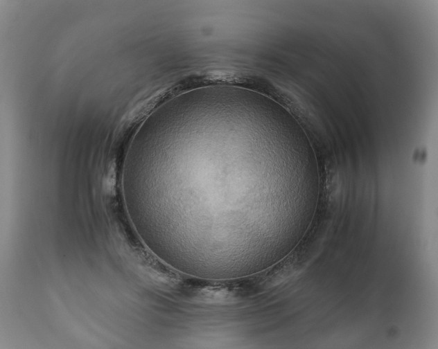 X0000110930502200906251337