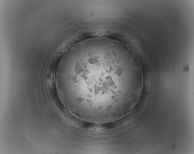 X0000110930503200906251337