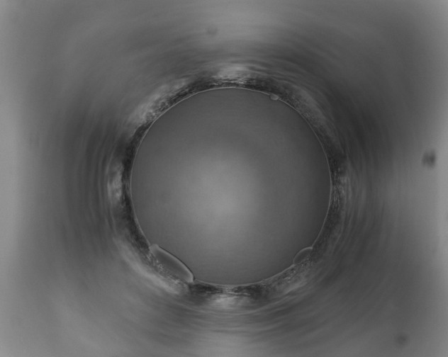 X0000110930504200906251337