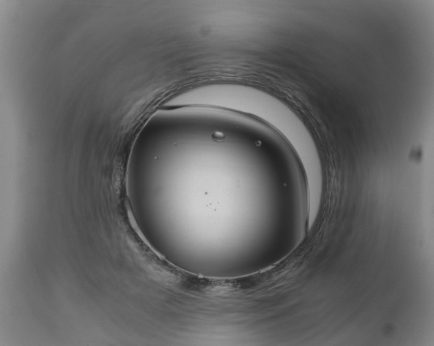 X0000110930505200906251337