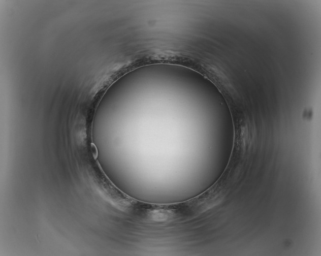 X0000110930508200906251337