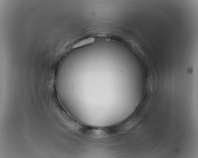 X0000110930509200906251337
