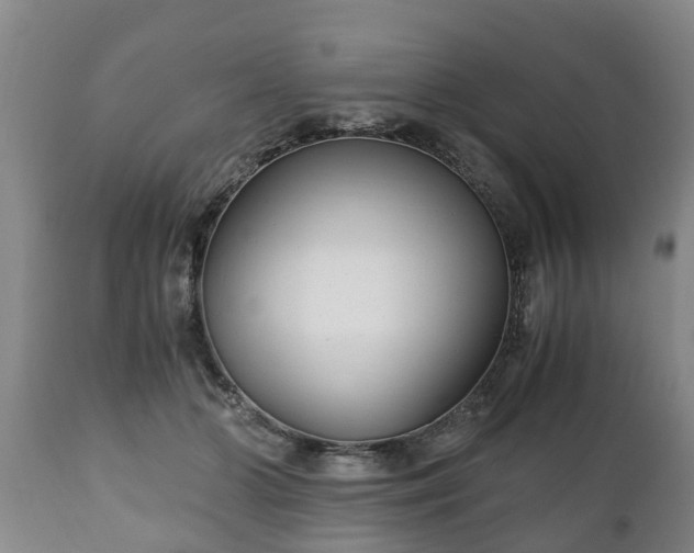 X0000110930510200906251337