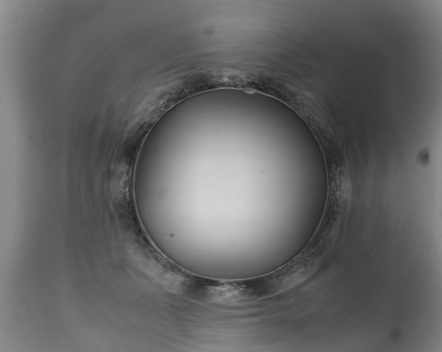 X0000110930511200906251337