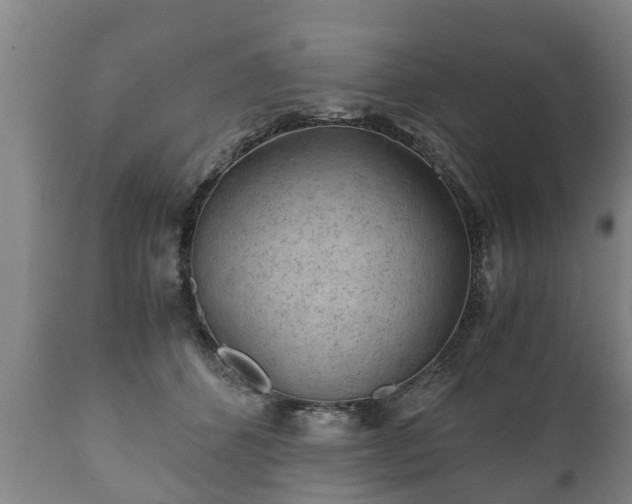 X0000110930512200906251337