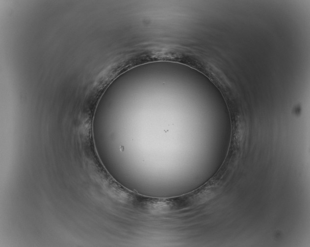 X0000110930513200906251337