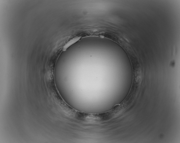 X0000110930515200906251337