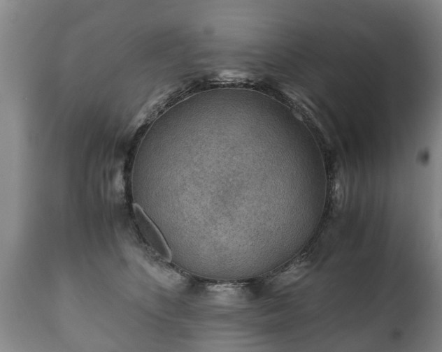 X0000110930516200906251337