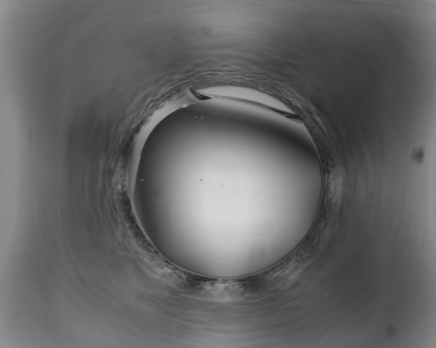 X0000110930517200906251336