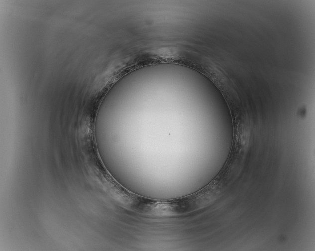 X0000110930518200906251336