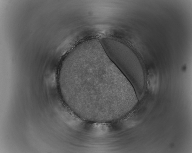 X0000110930520200906251336