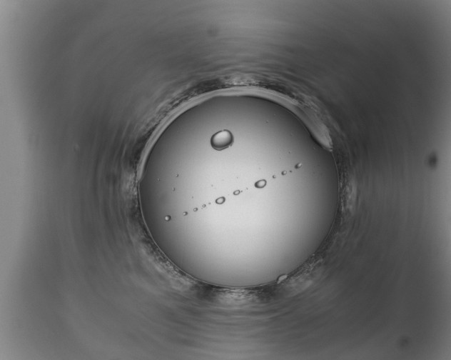 X0000110930521200906251336