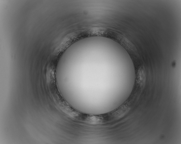 X0000110930522200906251336