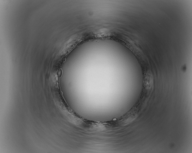X0000110930523200906251336