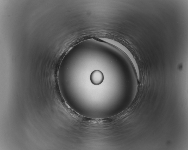 X0000110930524200906251336