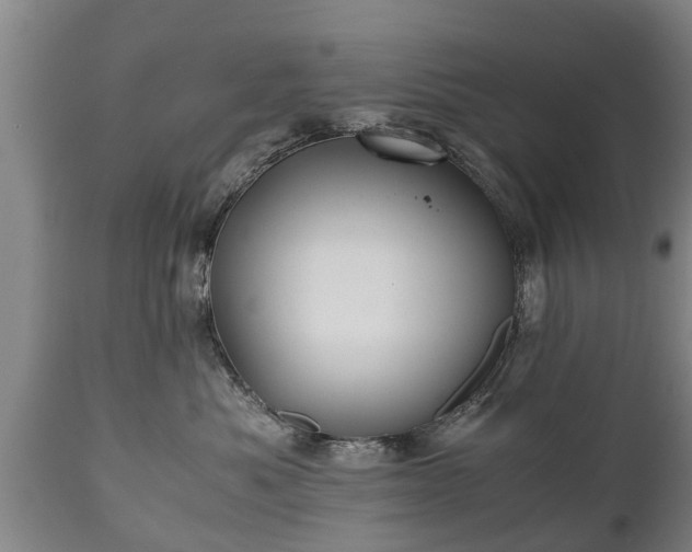 X0000110930525200906251336