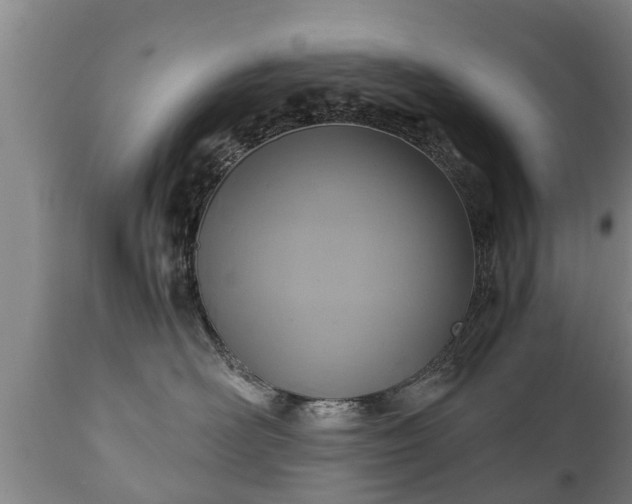 X0000110930526200906251336