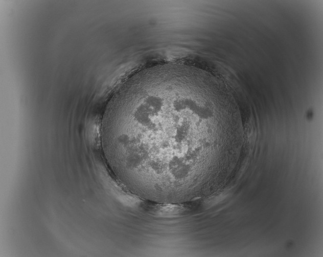 X0000110930527200906251336