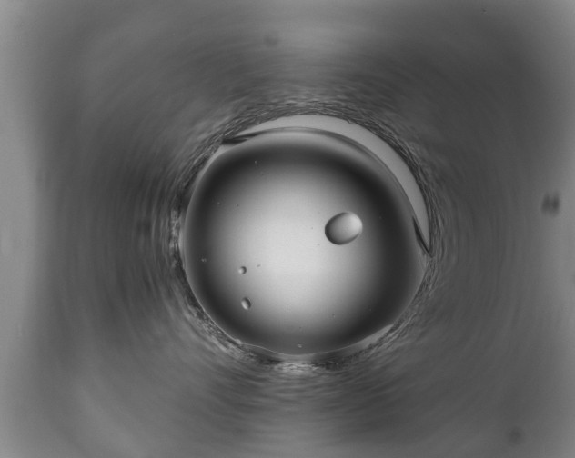 X0000110930528200906251336