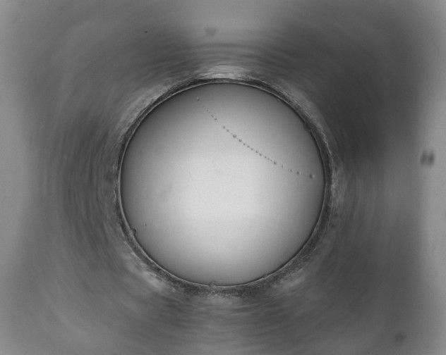 X0000110930529200906251336