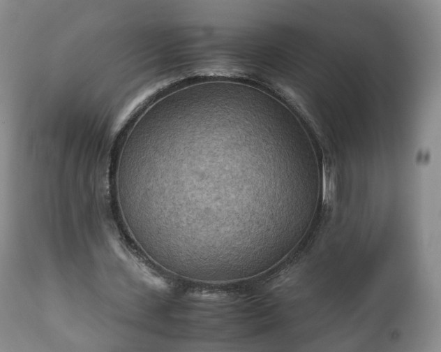 X0000110930531200906251336