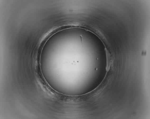 X0000110930532200906251336