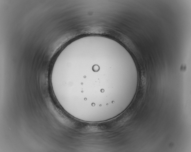 X0000110930534200906251336