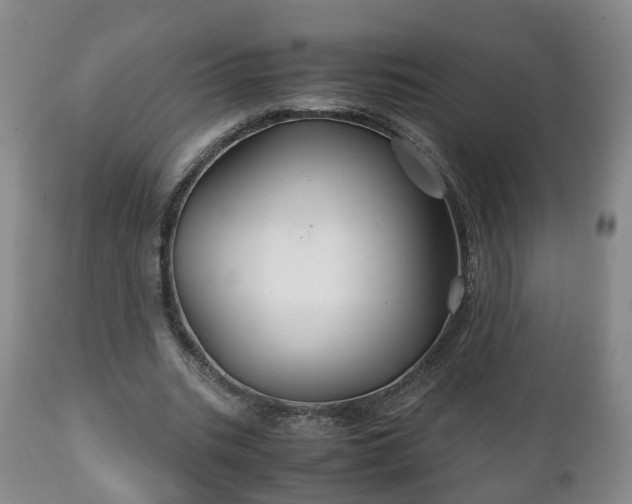 X0000110930535200906251336