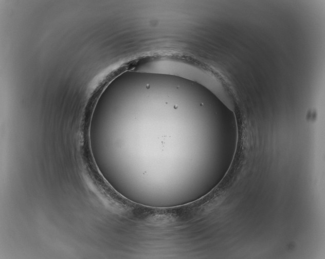 X0000110930536200906251336
