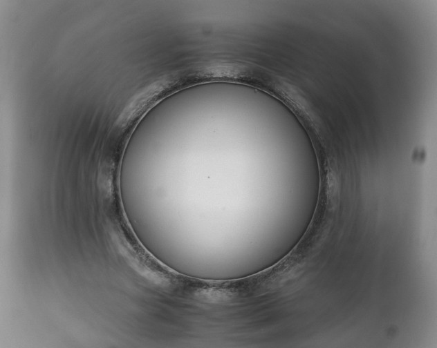 X0000110930537200906251336
