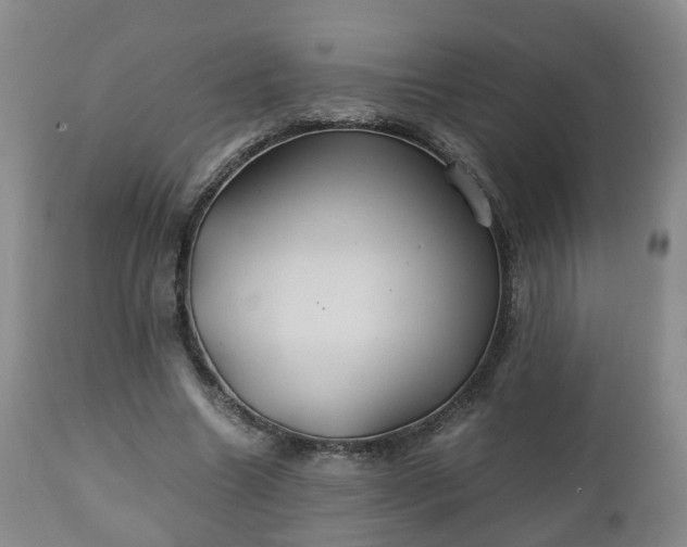 X0000110930538200906251336