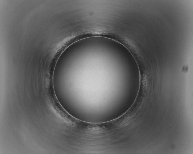 X0000110930540200906251336