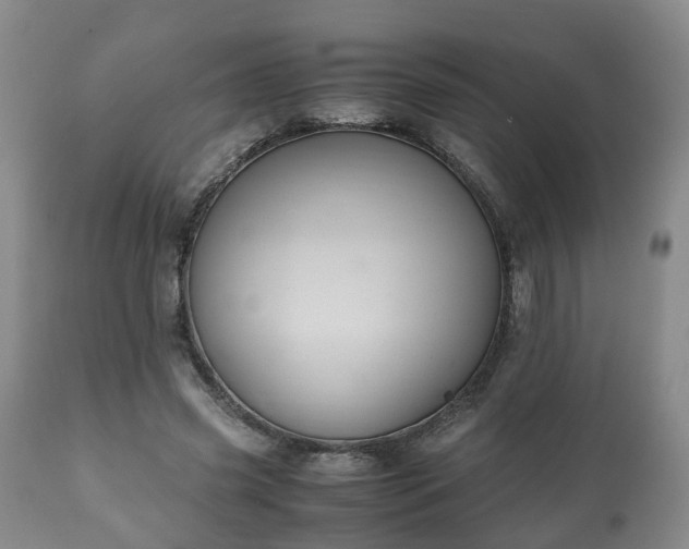 X0000110930541200906251336