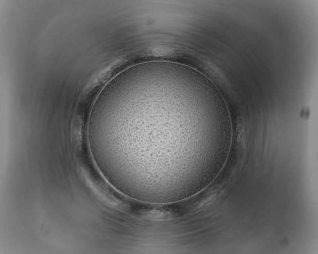 X0000110930542200906251336