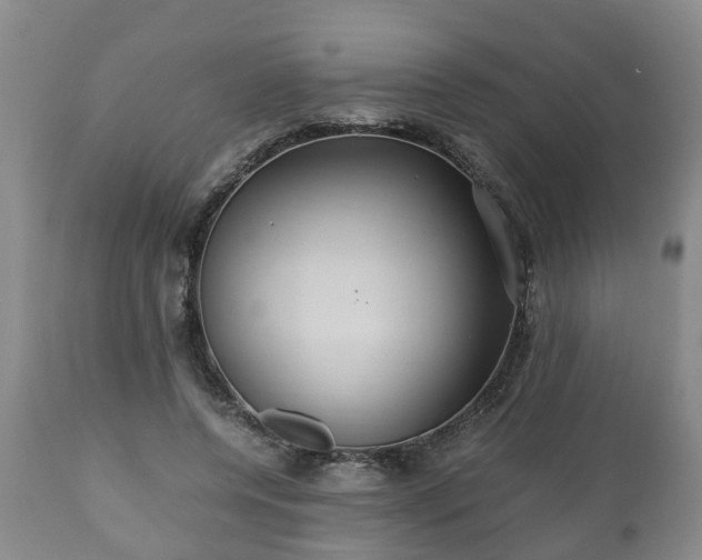 X0000110930544200906251336