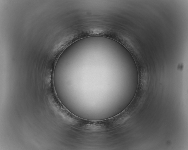 X0000110930545200906251336