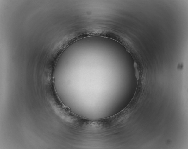 X0000110930546200906251336