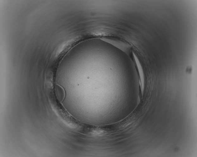 X0000110930547200906251336