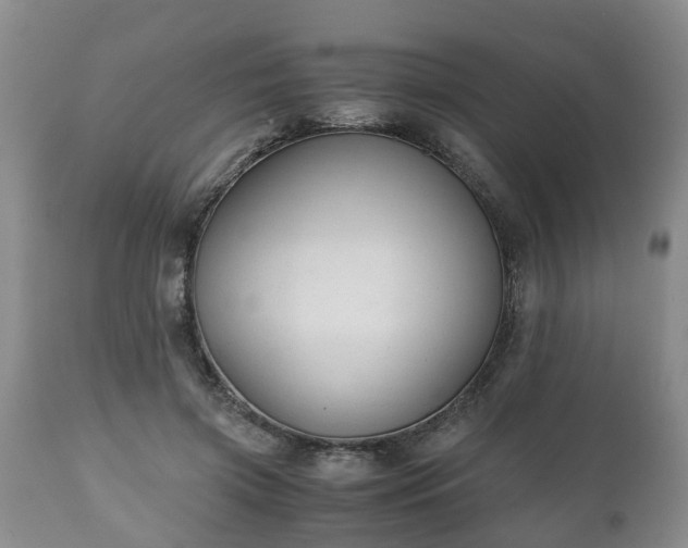 X0000110930549200906251336