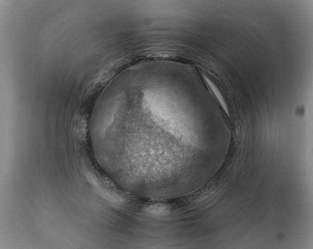X0000110930551200906251336