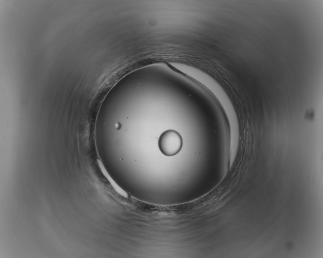 X0000110930552200906251336