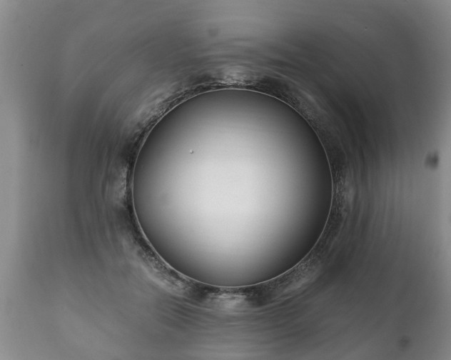 X0000110930554200906251336